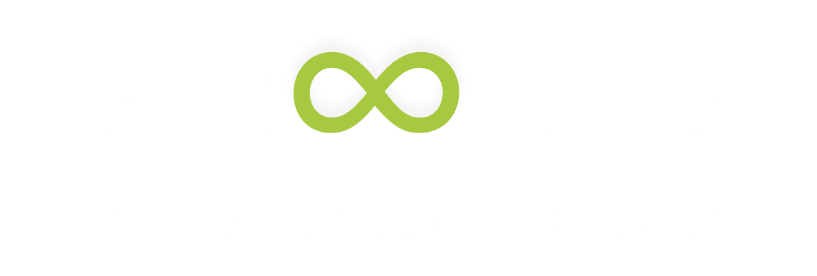 Anooshe Investment Flexco